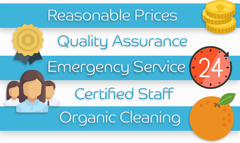 Why Choose Us